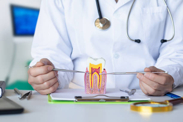 Best Emergency Root Canal Treatment in Mount Jackson, VA